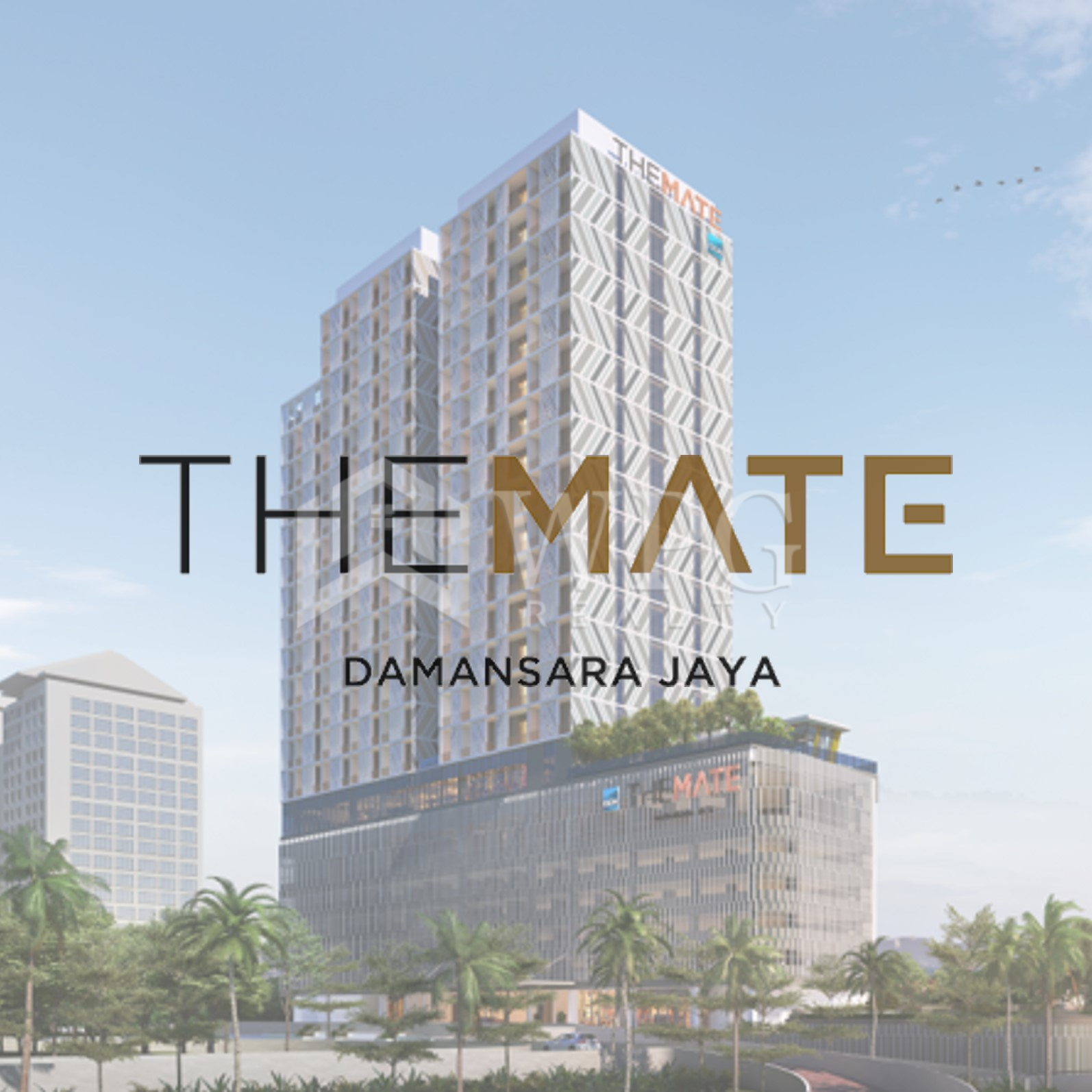 The Mate